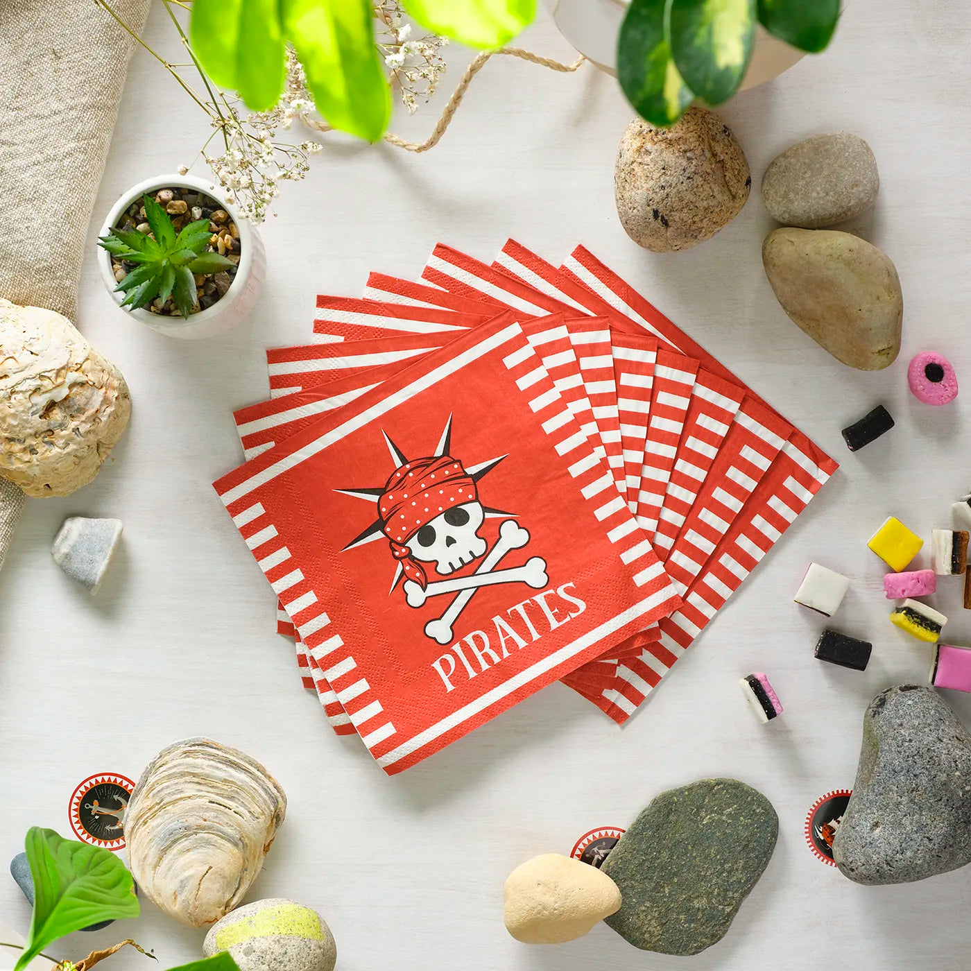 Kids Birthday Napkins, disposable tableware set for kids birthday party with a fun Pirate Theme. 