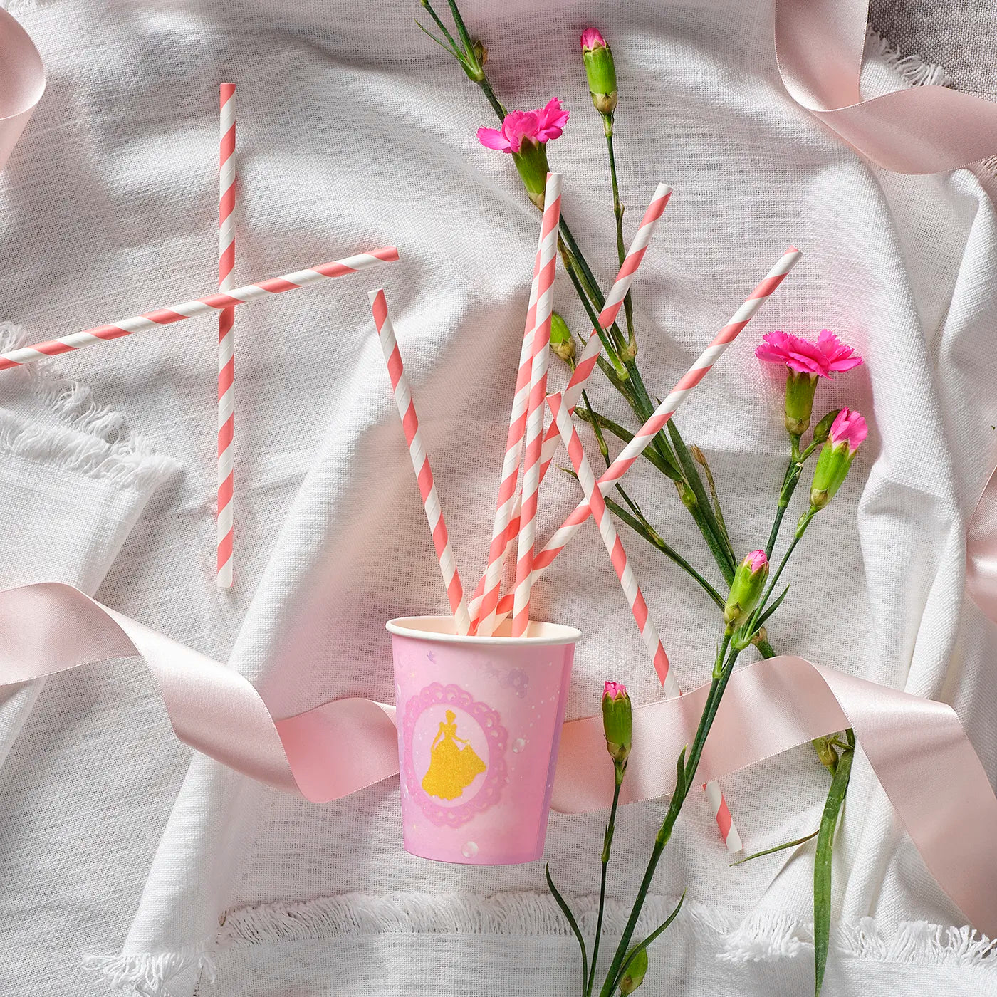 Kids Birthday Paper Straws and cups, decorative and disposable tableware set for kids birthday party with a fun Princess Theme. 